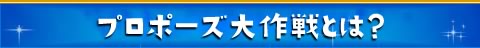 プロポーズ大作戦とは？